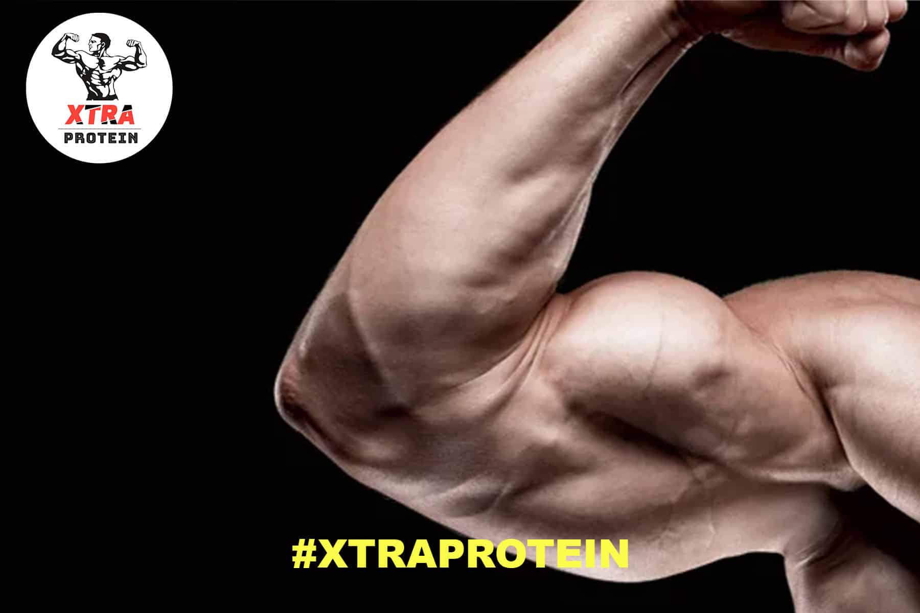 Get Bigger Arms with Proper Training and Nutrition | Xtra Protein