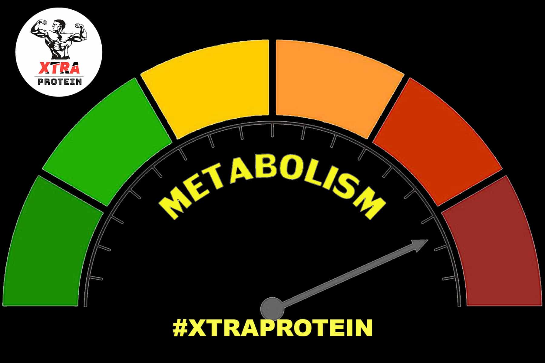 Speed Up Your Metabolism with These Simple Tips 