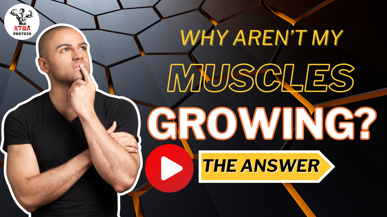 Why Aren't My Muscles Growing? | Xtra Protein